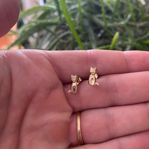 Jewelry - 10k yellow Gold Cat Stud Earrings